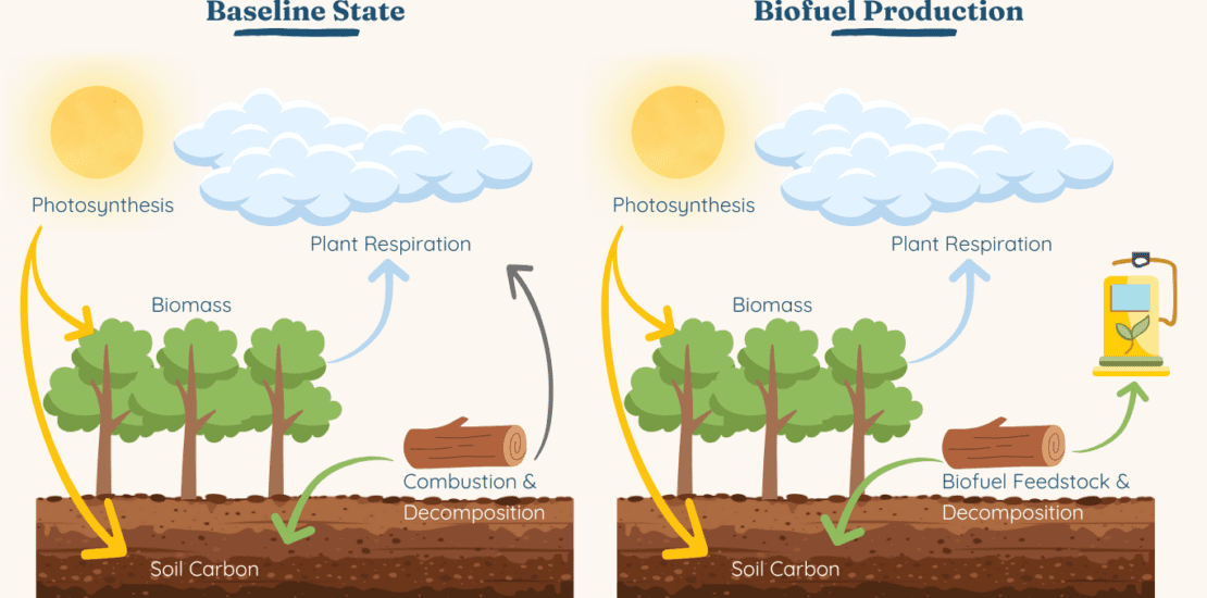 Biomass accounting principles, alternative fates, and verification