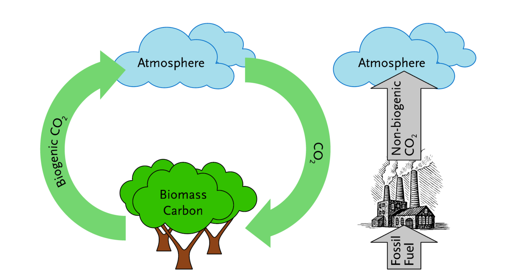 Biomass – Accounting Principles, Alternative Fates, and Verification.png