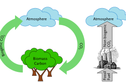 Biomass – Accounting Principles, Alternative Fates, and Verification.png